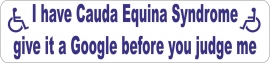 Cauda Equina Syndrome Car Parking Sticker