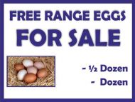 Eggs For Sale Sign